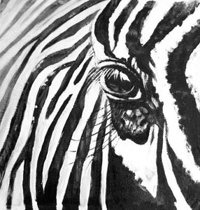 Zebra Series "Limited Print Edition"